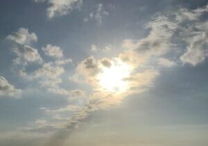 skygger